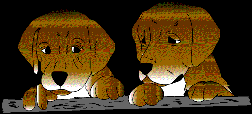 Comic, 2 Hunde