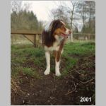 Eike-2001-2.jpg