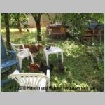 Hund-und-Huehner vertragen sich gut im Ghege