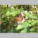 eike09-09.jpg