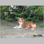 eike5-2008.jpg