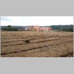 8/2014, Planierarbeiten, Campingbusparkplatz, Rilchingen, Thermengelaende