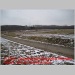 Rodungsarbeiten am Rittersweg, Rilchingen, Kurbadgelaende, 13.2.2010